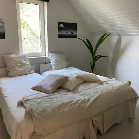 Bed & Breakfast Maison Blanche