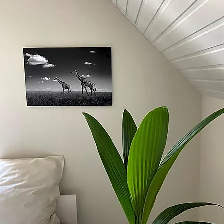 Maison Blanche Готель типу 