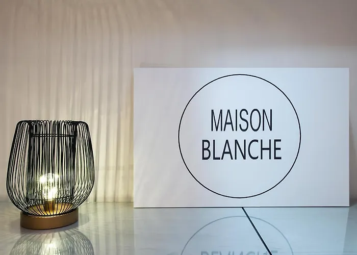 Maison Blanche Bed & Breakfast Gent