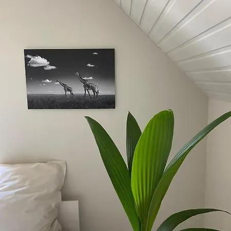 Maison Blanche 根特