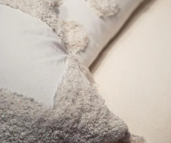 Maison Blanche 根特