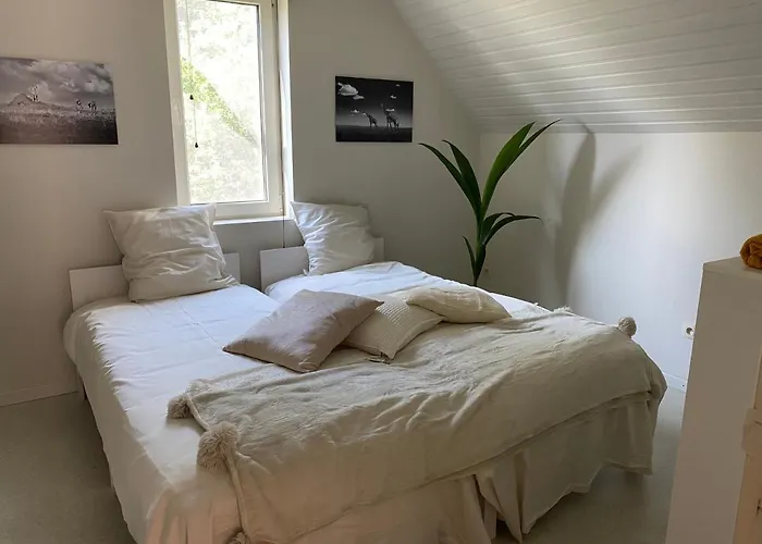 住宿加早餐酒店 Maison Blanche